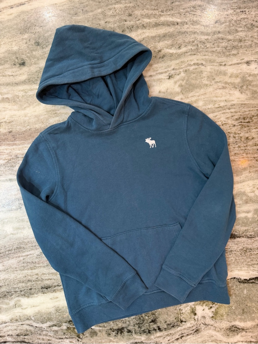 abercrombie kids Teal Blue Hooded Sweatshirt with White Moose Logo
Size 13/14